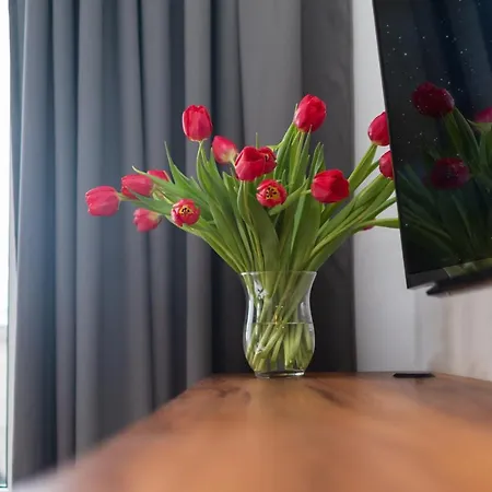 Smolna By Your Freedom