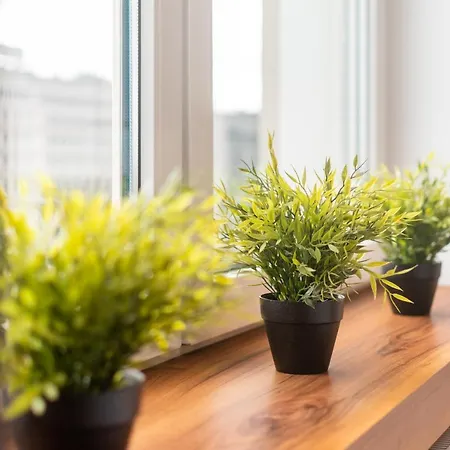 Smolna By Your Freedom *