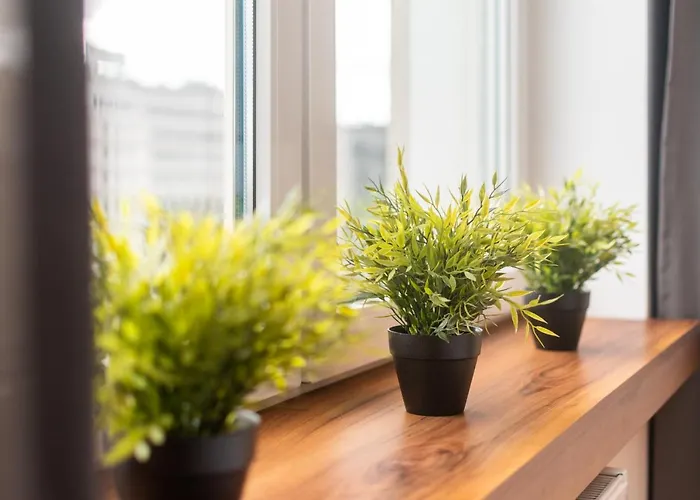 Smolna By Your Freedom *