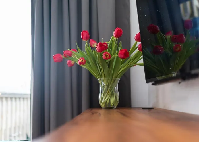 Smolna By Your Freedom