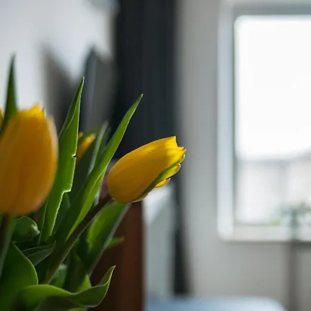 Smolna By Your Freedom アパート